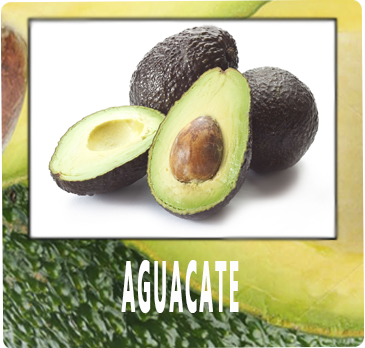 AGUACATE