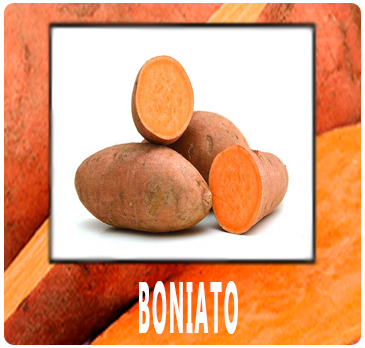 BONIATO