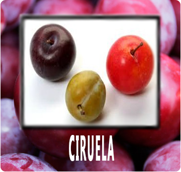 CIRUELA