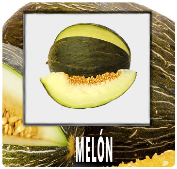 MELÓN