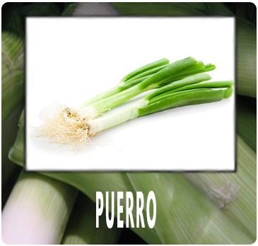 PUERRO