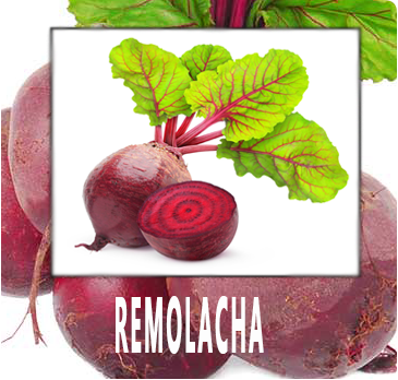 REMOLACHA