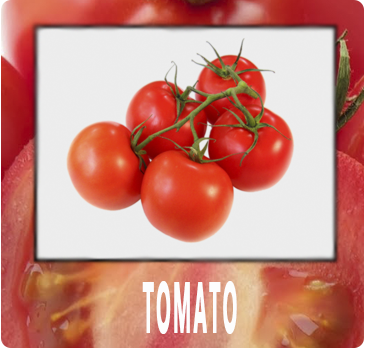 TOMATE IN