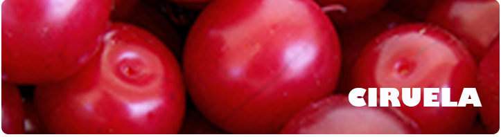 CIRUELA