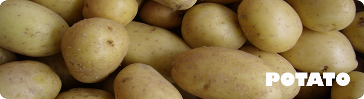 PATATA IN